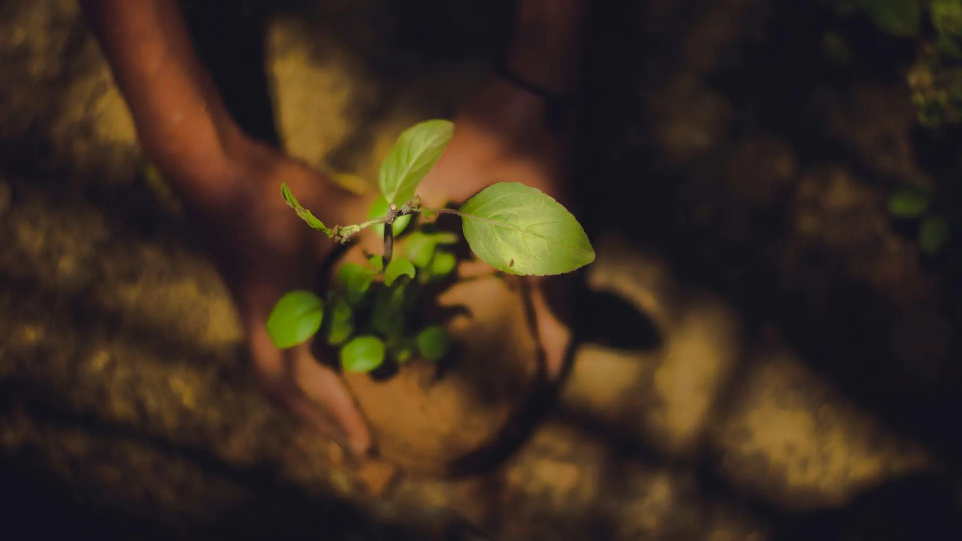 Conversion-Optimierung verstehen: Wie du mehr aus deiner Website herausholst